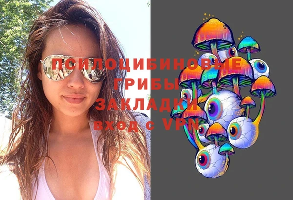 бутират Алексин